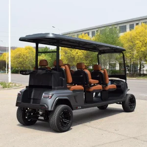 Professional Grade Powerful Reliable Versatile High Endurance Modern Electric Golf Cart