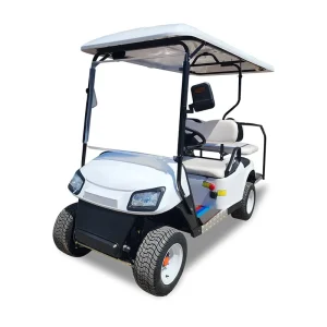 Professionally Customized Adjustable 4 Seat Electric Golf Cart
