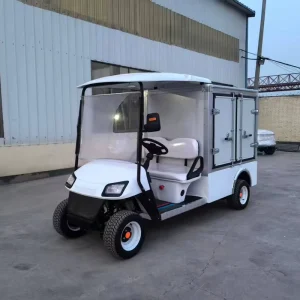 Public Electric Golf Cart UTV 2 Seat Large Capacity 60V Battery 90km Range Delivery Vehicle Sale