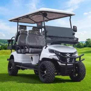 Quiet Operation 6 Passenger Electric Golf Carts 72V Lithium Battery Club Car for Hotel Reception Support Color Customization