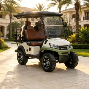 Rainbow 4 Seater Lithium Powered 48V Professional Golf Carts Sale Electric Golf Cart off Road Golf Buggy 30-50Km/h 70-90km
