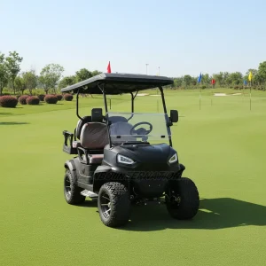Rainbow Customizable 48 Volt Electric Golf Cart 4 Seater Buggy 30 50Km h Speed 70 90km Range 12 inch Tires for Club Golf Courses