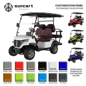 Ready to Ship From Indonesia 2 Person Golf Cart Local Warehouse Golf Buggy Electric
