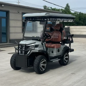Reliable Lithium Pack Waterproof System 4 Seater Electric Golf Cart