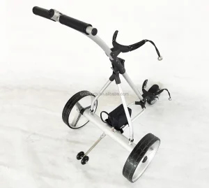 Remote Control Golf Cart