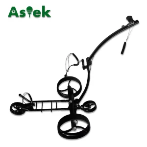 Remote Control Golf Trolley Golf Buggy Golf Cart With Lithium Battery 24V