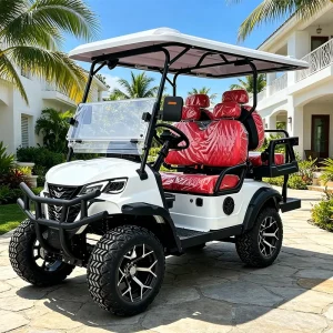 Remote Control Park 4 Seat Electric Golf Cart with Remote Control