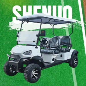 Rover Golf Cart Party Golf Cart and Golf Cart Jeep