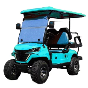 Rust Proof Aluminum Frame Electric Golf Cart 4 Seater Salt Resistant Coastal Use Street Legal LSV 72V Lithium 7.5kW AC Motor CE