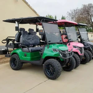 SEEWORLD Golf Cart 48V Four-Wheel Vehicle Off-road Golf Carts with Comfortable Seat for Sale