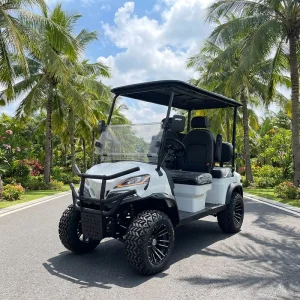 Scenic Resort Sightseeing Large Capacity Lithium Battery 4 Passenger Rechargeable Electric Shuttle Vehicle Golf Cart