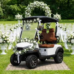 Scooter 2 Seats Hunting Golf Cart With Curtis Controller Electric Golf Car
