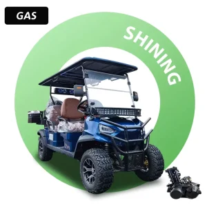 Shininglsv Golf Buggy with High Quality 6 Seater 356CC Gas Golf Cart
