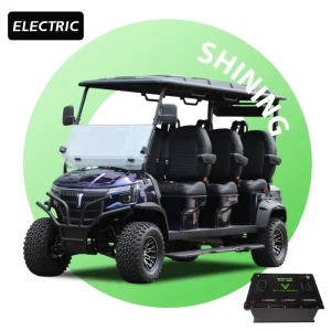Shininglsv Luxury Electric Golf Cart 48 Volt Street Legal 72V Lithium Battery Golf Cart