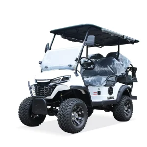 Sightseeing Car Patrolling Scenic Spots and Hotels 4×4 Buggy Car Electric Golf Cart 48v Mini Golf Cart With Cargo Box