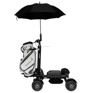 Single Seat Electric Golf Cart 4 Wheels Motorized 48V 2400W Aluminum CE Certified 30km Range 18km/h Max Speed 15-20 Grade Golf