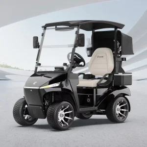 Single Seat Golf Cart 48V Electric Powered Lightweight Design for Golf Course Resort Easy to Maneuver Maintain Golf Cart