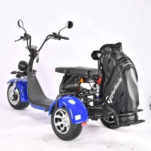 Single Seat Golf Cart Two Wheels Golf Car Electric Golf Trolley