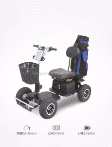 Single Seat Mini Electric Golf Cart for Sale
