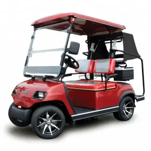 Small 2 Seaters Electric Golf Cart