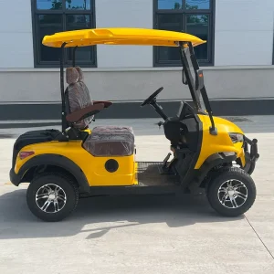 Small Radius Turning Long Range 2 Seater Golf Cart for Adults