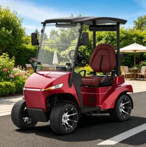 Smart Control Golf Cart Entertainment Screen Golf Course Individual Transport Vehicle Multi functional Single Golf Cart
