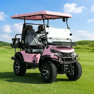 Street Legal 4 Seater Customizable Colors Electric Hunting Golf Cart with 5KW Powerful Motor for Resort Shuttle