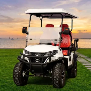 Street Legal 4 Seater Electric Golf Cart LSV Lithium Golf Buggy DOT CE Approved Family Outdoor Shuttle Car