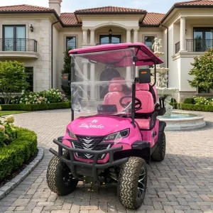 Street Legal 4 Seater Off Road Electric Golf Cart for All Terrain Outdoor Use