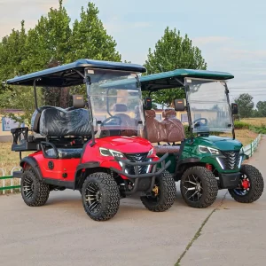 Street Legal 4 Wheel Off Road Golf Cart Buggy Electric Battery Golf Car 2 4 6 8 Seater 48v 72v Sightseeing Electric Golf Cart