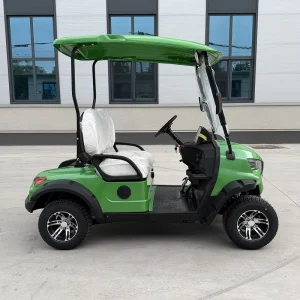 Street Legal 48V Lithium Battery 2 Seater Electric Golf Cart