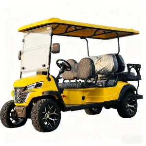 Street Legal Easy Operation High End 6 Seater Side by Side 4 Stroke Gasoline Golf Cart with Off Road Tires for Sightseeing