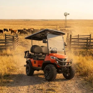 Street Legal Electric Golf Cart 2+2 4 Seat 35km h 80 100km Range Lithium Battery Custom Color Off Road Tires CE Certified
