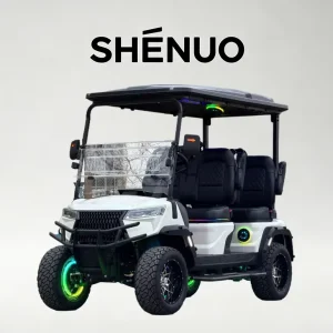 Street Legal Freezer Golf Cart Off Road Golf Car for Hunting and Farm
