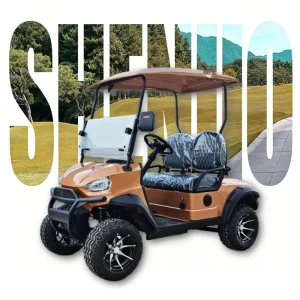 Street Legal Golf Cart Classic Car Golf Cart Mini Suv Off Road Electric Vehicle for Community Transport