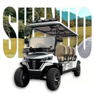 Street Legal Golf Cart Food Truck Golf Carts Off Road Golf Cart for Golf Course
