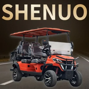 Street Legal Golf Cart Off Road Electric Vehicle for Community Transport