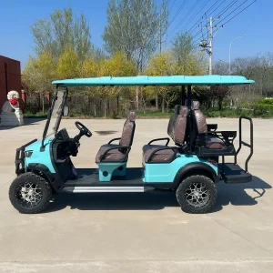 Street Legal High Configuration 6 Seater Electric Golf Cart with Roof