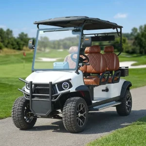 Street Legal Metal Steel 4 Seats Forward Electric Golf Cart with Curtis Controller 4 Seater