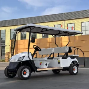 Street Legal Offroad Hunting Cart Golf Buggy Lithium Battery Electric Car with Windshield Seat Belts and LED Lights