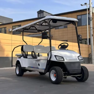 Street Legal Passenger 4 Stroke Gasoline Powered Golf Cart with 5 6 Seats for Resort Luxury Resort Use