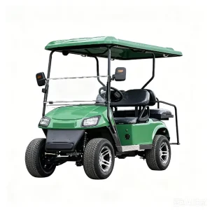 Sturdy Electric Tandem High Grade Cells Green Utility Task Vehicle Equipped Alloy Rims 60V 72V Battery 30 50Km h Speed for