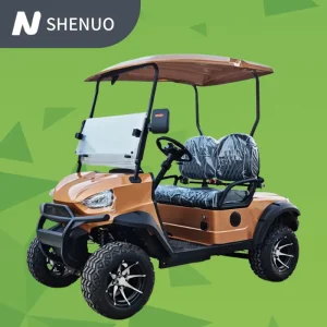 Stylish 2 Person Electric Mini Golf Cart Batteries for Club Car Golf Carts Durable Neighborhood Electric Vehicle (NEV) for Pe