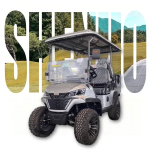 Stylish Golf Cart Durable Golf Buggy for Resort and Hotel