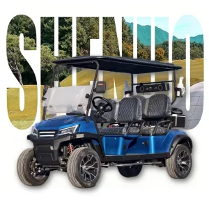 Stylish Kids Electric Golf Cart Golf Cart Durable Neighborhood Electric Vehicle (NEV) for Personal Leisure