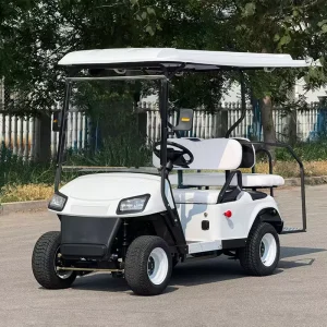 Stylish Lithium Ion Batteries Golf Cart 48v Street Legal Electric Durable Golf Cart for Golf Course