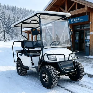 Supplier Club Car Alternative 4 Seat Electric Golf Cart for Better Value