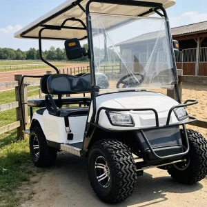Supplier FCL Full Container 4 Seat Electric Golf Cart for Direct Ship