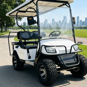 Supplier Production Capacity 4 Seat Electric Golf Cart for Large Quantity