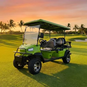 Tarion Newly Designed 4 Stroke 4+2 6 Seat 300CC Gasoline Golf Cart with 45 Km h Speed 100 120km Range Off Road Tires